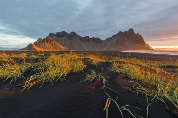 Morning Light – Vestrahorn